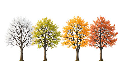Four trees showing seasonal changes from winter to autumn.