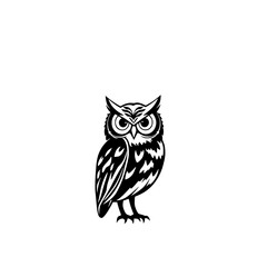 Fototapeta premium Wise Owl: A striking monochrome line art illustration of an owl, showcasing its sharp gaze and detailed feather pattern against a white backdrop.