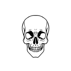 Human Skull Line Art: A stark black and white illustration depicts a detailed human skull, showcasing its anatomical features in a simple yet striking style.