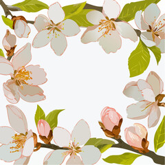 vector pattern of corner frames with almond blossom branches in soft spring hues