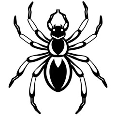 Obraz premium Minimalist Black Spider Silhouette Vector.