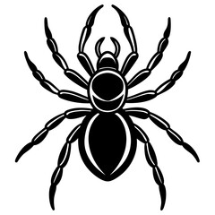 Minimalist Black Spider Silhouette Vector.
