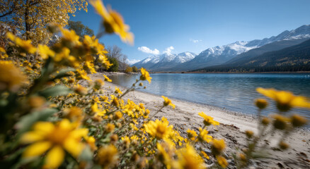 Serene landscape featuring yellow flowers by tranquil lake, surrounded by majestic mountains