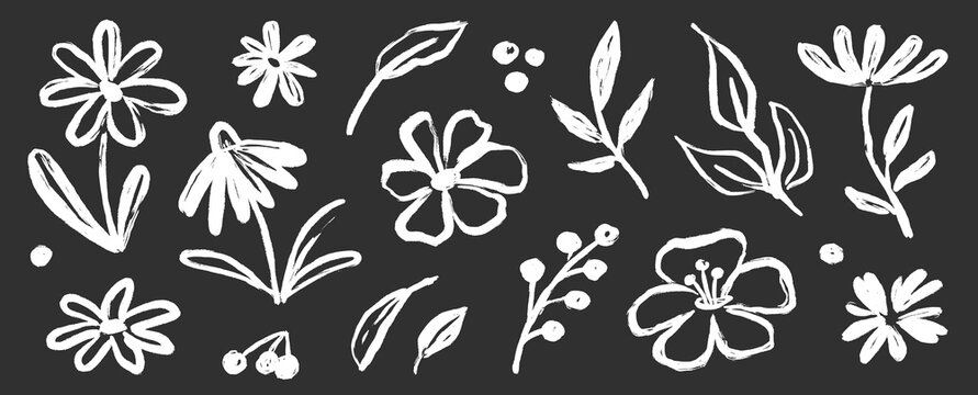 Flower brush paint stroke set. Hand drawn floral flower, leaf graffiti elements in brush paint silhouette set. Vector black ink stroke doodle floral texture sketch spring pattern. Vector illustration