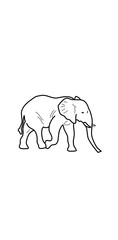 Fototapeta premium elephant illustration