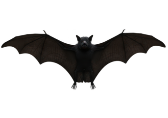 A detailed black bat with wings spread wide isolated on transparent background