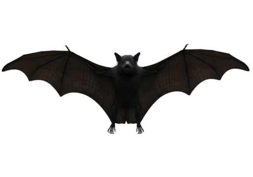 A detailed black bat with wings spread wide isolated on transparent background - Powered by Adobe