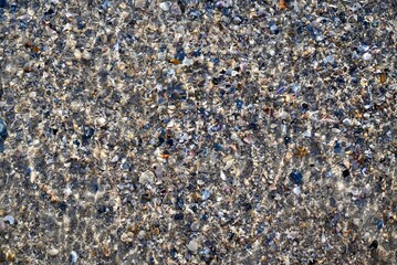 Seashells Background, Under Clear Water