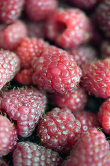 raspberries