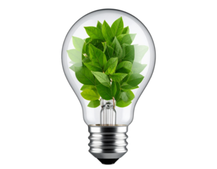 Eco light bulb filled with green leaves, isolated on a transparent background