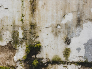 Obraz premium Close-up of a heavily weathered concrete wall with cracks, water stains, mold, and peeling paint, showing significant decay.