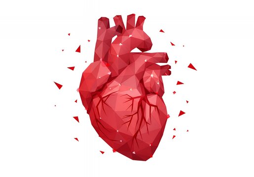 Low poly red heart illustration with geometric shapes and polygonal design.