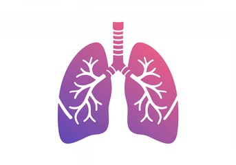 Fototapeta premium Gradient lungs illustration shows respiratory system anatomy icon.