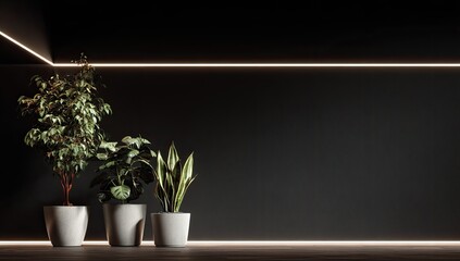 Dark modern interior with plants