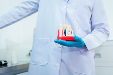An Asian male dentist discusses tooth pain with a female patient, holding a dental model while...