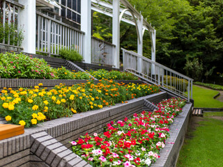 花が咲く植物園の花壇