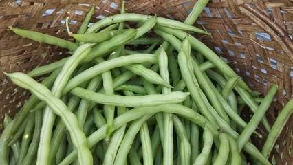 Fresh Green Beans In Basket