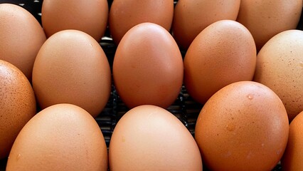 Farm Fresh Brown Eggs: A close-up, high-angle view of multiple brown chicken eggs, some with small water droplets, arranged neatly, suggesting freshness and natural produce.