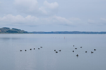 青森県最大の湖である小川原湖
