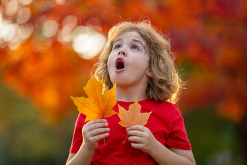 Surprised Portrait of funny kid play autumn leaf in autumn park. Child in autumn park. Little girl with yellow leaf. Kid playing with fall leaves. Toddler kid under a maple tree on a sunny autumn day.