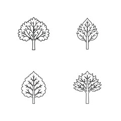 Bundle of fresh aspen tree branches, natural aspen wood stems, autumn aspen foliage, green leaves, forest nature, isolated on white background, perfect for design and decoration