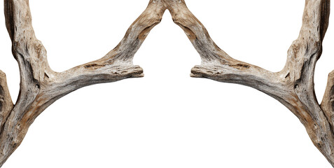 Organic Driftwood Top Border Frame Gothic Style