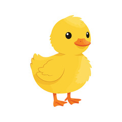Fototapeta premium A charming yellow duckling stands cheerfully, its fluffy feathers and endearing expression capturing the essence of springtime isolated on white background