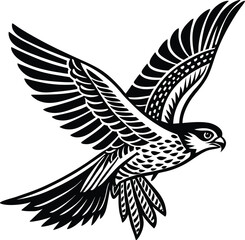 Obraz premium Majestic falcon soaring with spread wings in black and white bird flight
