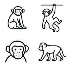 vector illustration of monkey