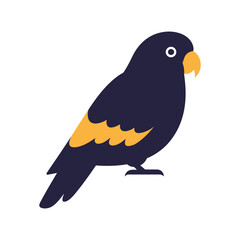 Fototapeta premium A black parrot with yellow markings is perched, isolated on white background