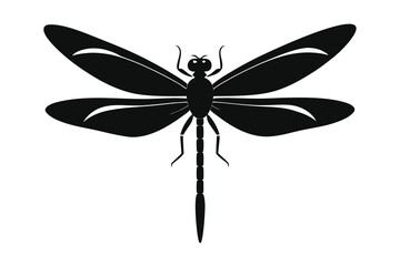 Dragonfly silhouette vector illustration on white background