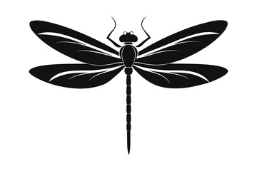 Dragonfly silhouette vector illustration on white background