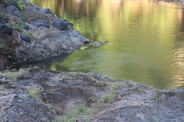 The beauty of tropical rivers in Indonesia