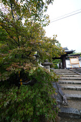 東福寺塔頭光明院の境内風景