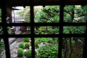 東福寺塔頭寺院芬陀院の庭園の風景