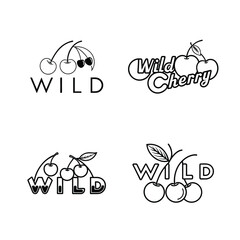 Bundle of fresh wild cherry fruits isolated on white background. Organic sweet red cherries for summer food, healthy fruit collection, diet ingredient, natural harvest, juicy seasonal produce.