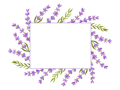 delicate and elegant frame with lavender, sprigs, soft purple and pink hues, perfect for botanical, spa, greeting cards or wellness designs.