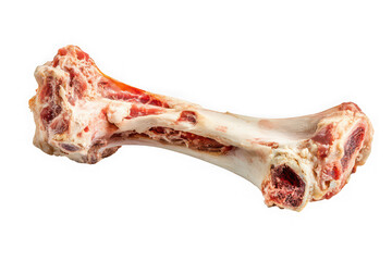 Raw bone with meat for dog treat, animal food, cooking ingredient, bone broth stock, beef bone isolated on transparent background
