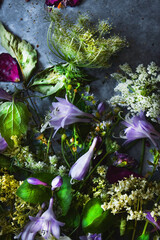 Composition of plants, on black background, still life