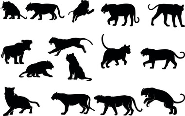 panther silhouette on white background