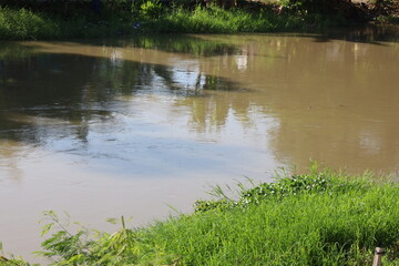 Obraz premium A river flowing with brown water