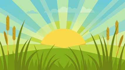 summer landscape with grass