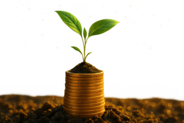 Plant is growing out of a gold coin. isolated-3d-on-transparent-background