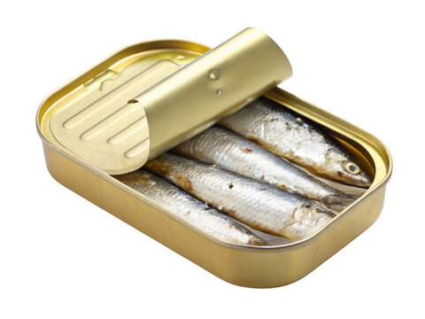 Open tin can filled with sardines in oil isolated on transparent background