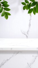 Leaf light reflections on white marble surface,