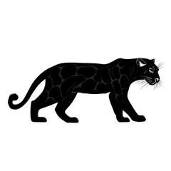 Obraz premium Clouded Leopard black silhouette isolated on a transparent background