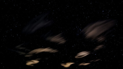 Black and white rabbit with space background full of stars