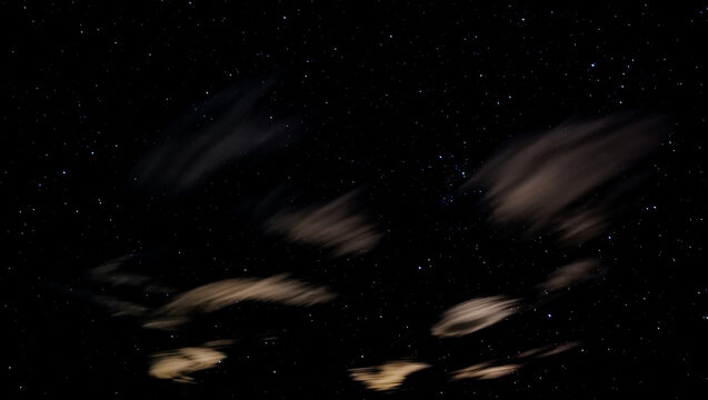 Black and white rabbit with space background full of stars