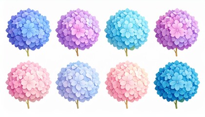 Describes the unique nature of hydrangeas with color-changing petals 