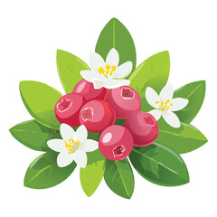 Wild Lingonberries, Healthy & Zesty